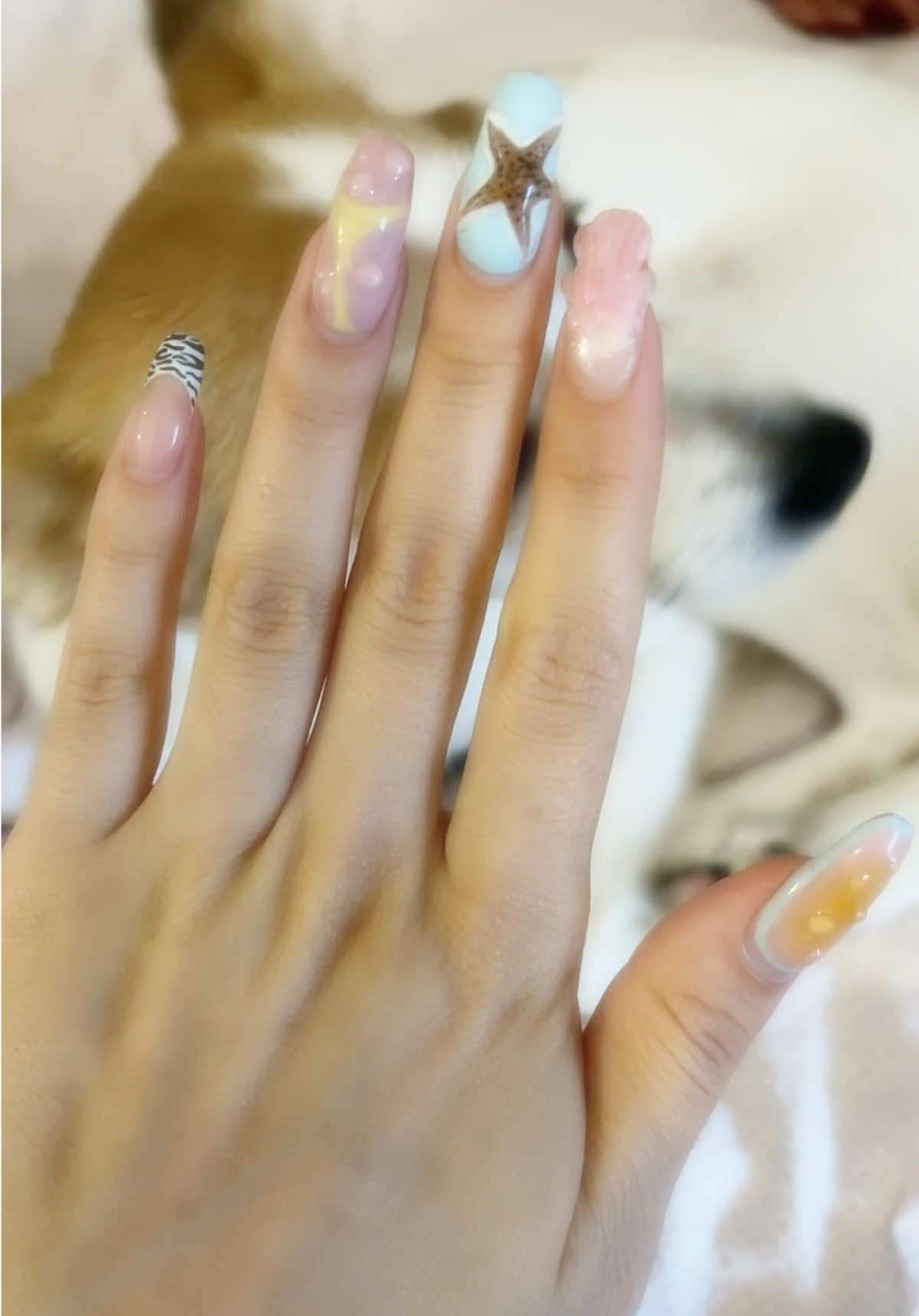 @Sedaminoo