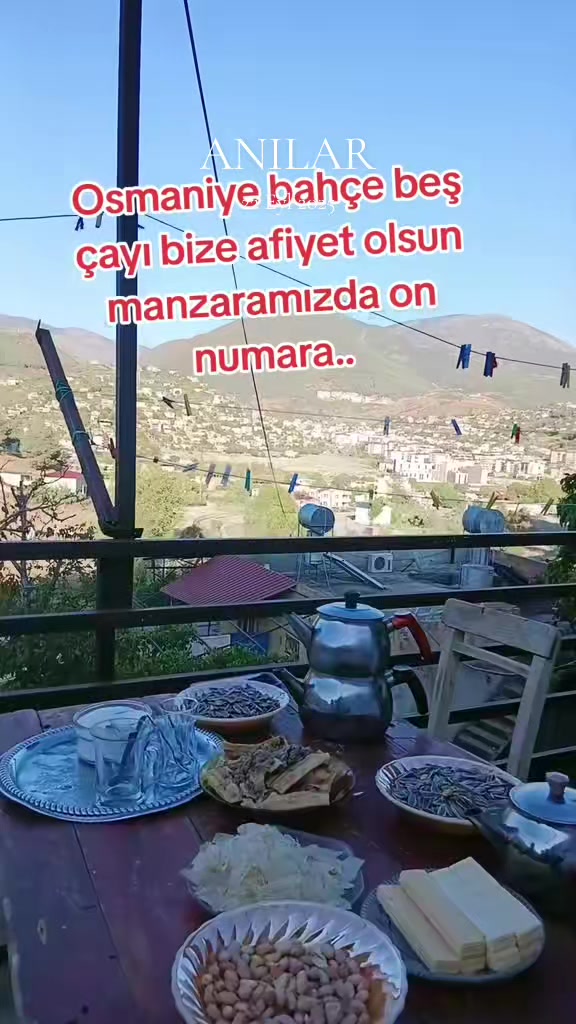 @nurayy