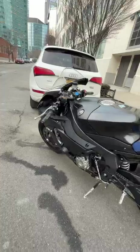 @_AL_Shark