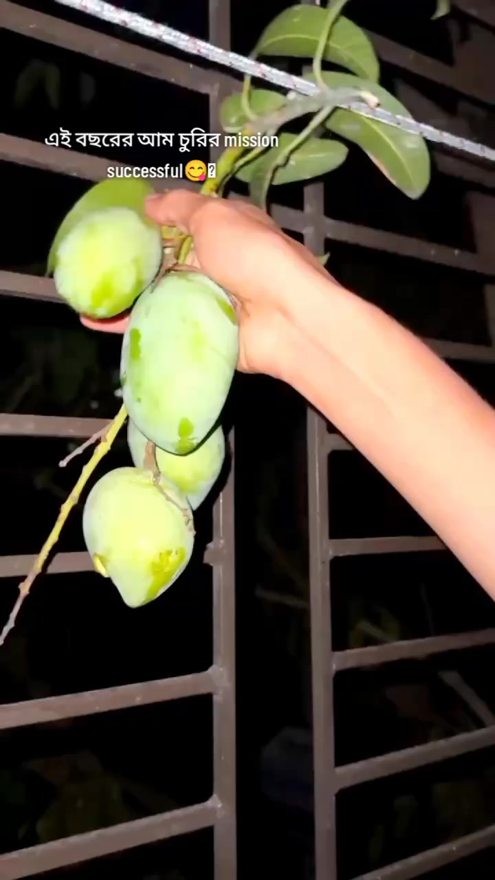 @O🚩