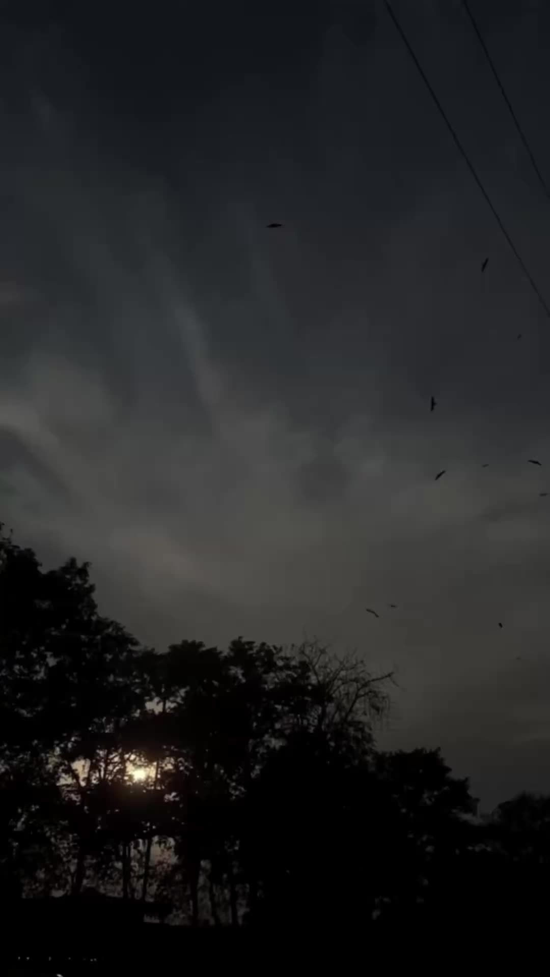@K.