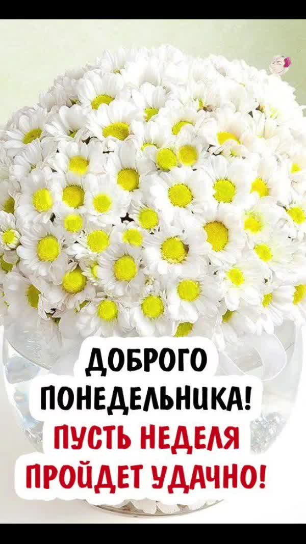 @Ane4ka71