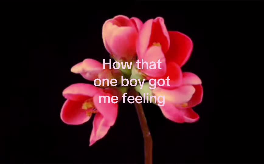 @Gina