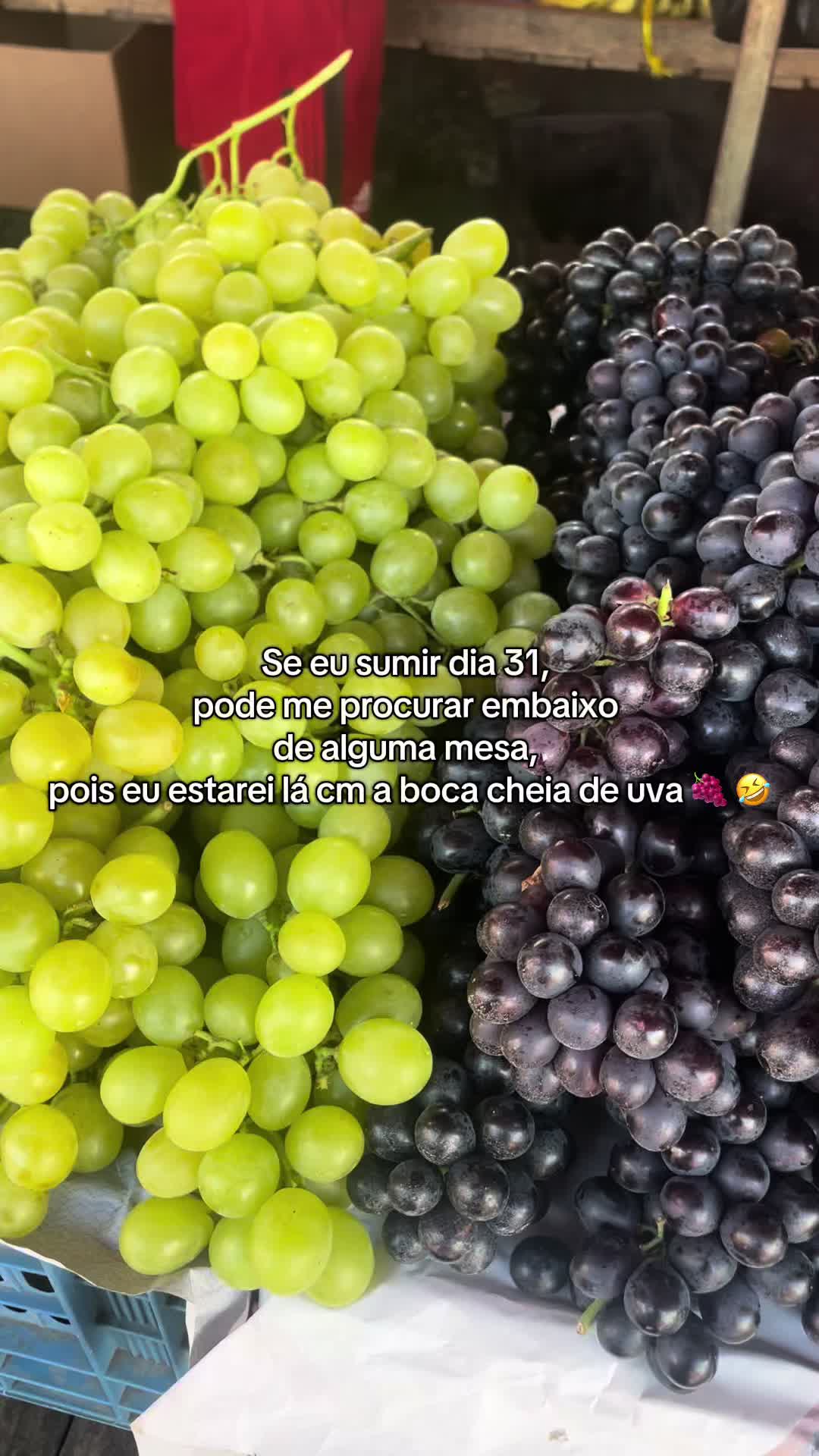 @FerreiraR