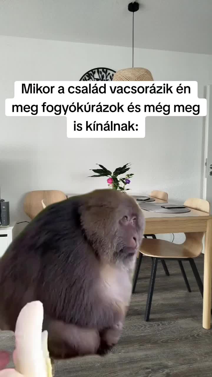 @tiborbenko7