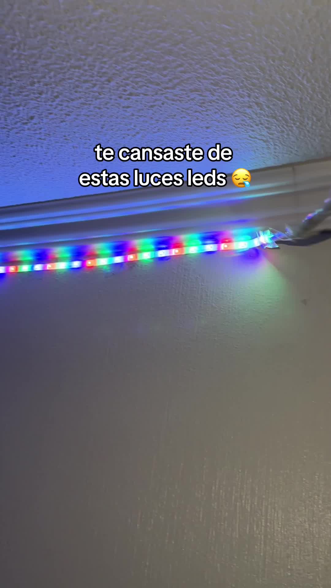 @ENLACE EN BI0 💫