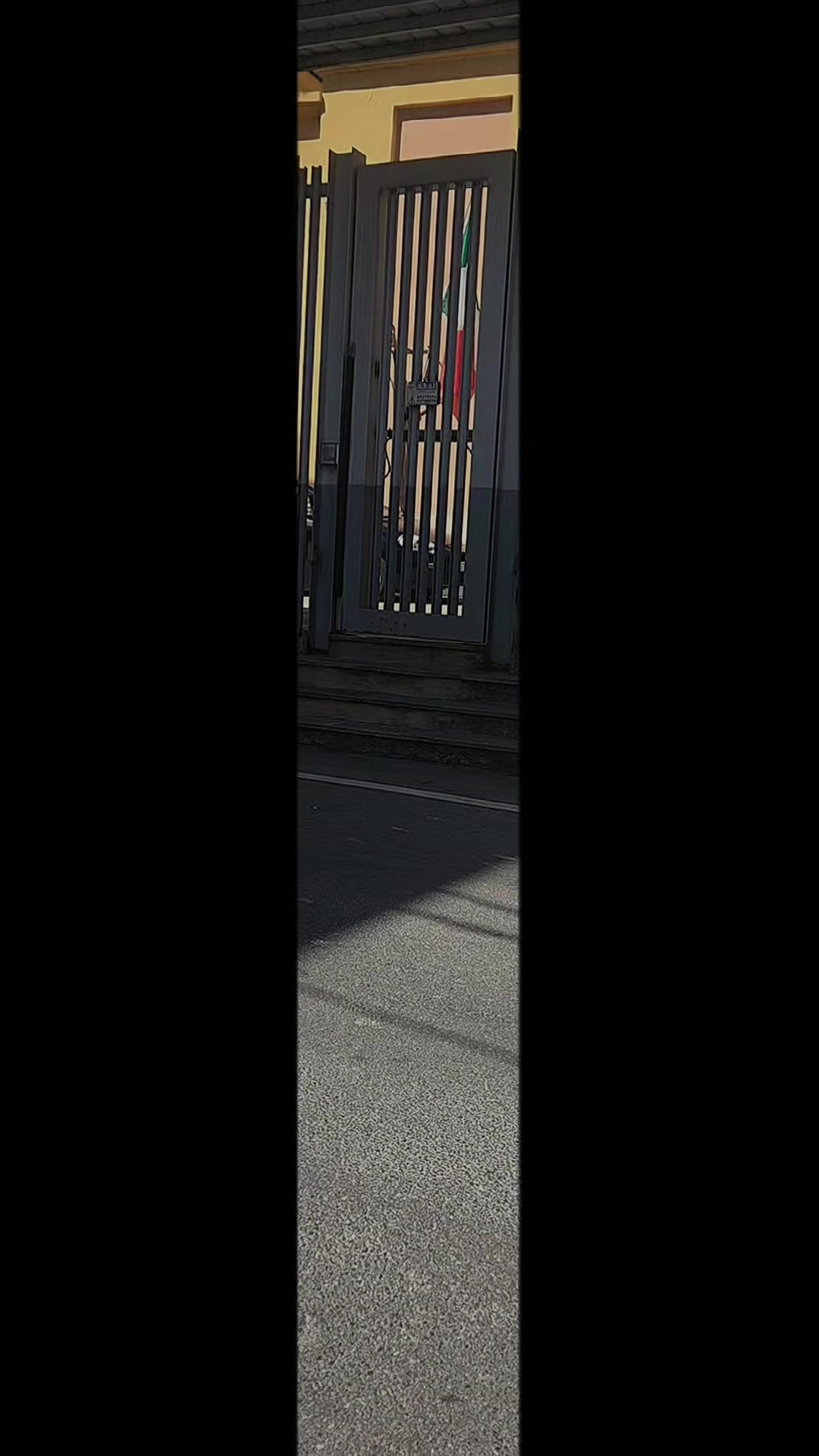 @giulianamelis665