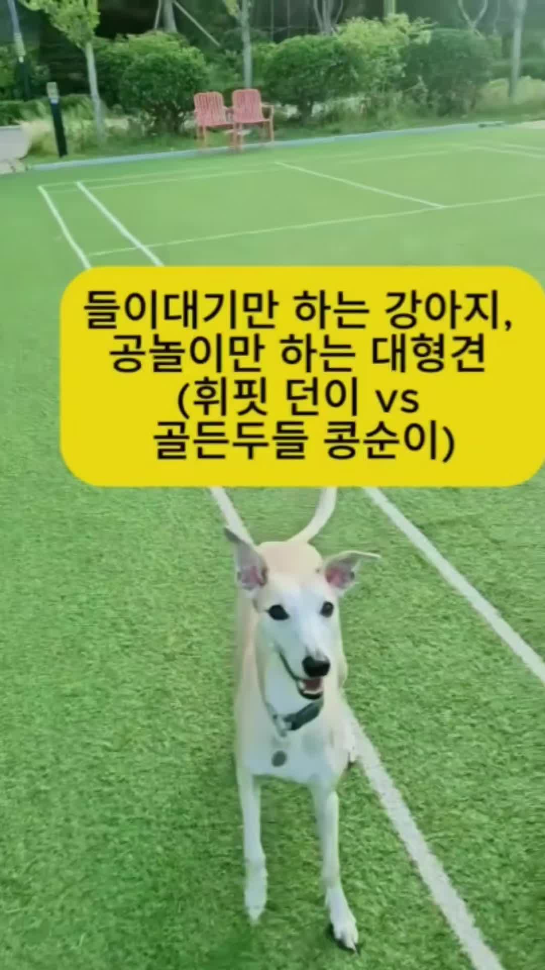 @백서현218