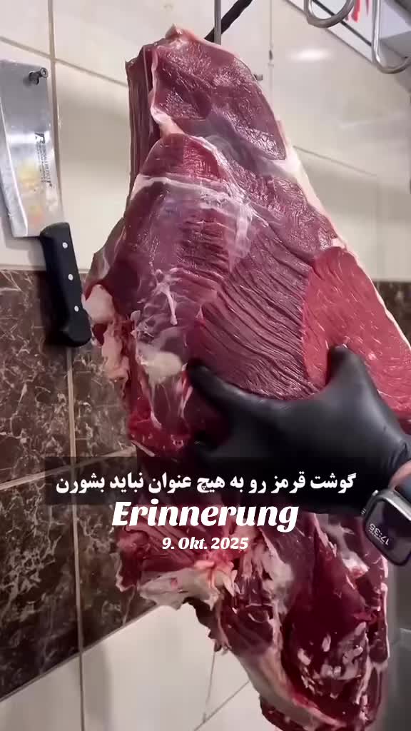 @bavar__kasit__1