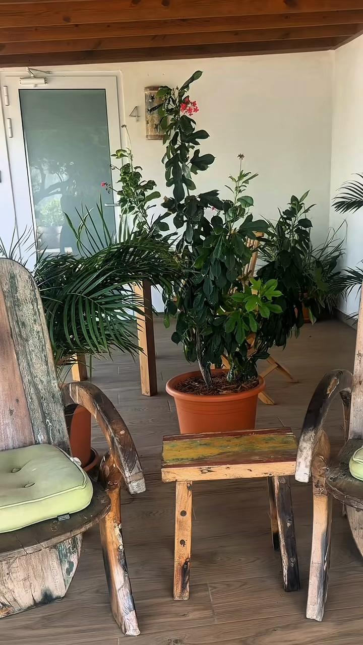 @spaathomearuba