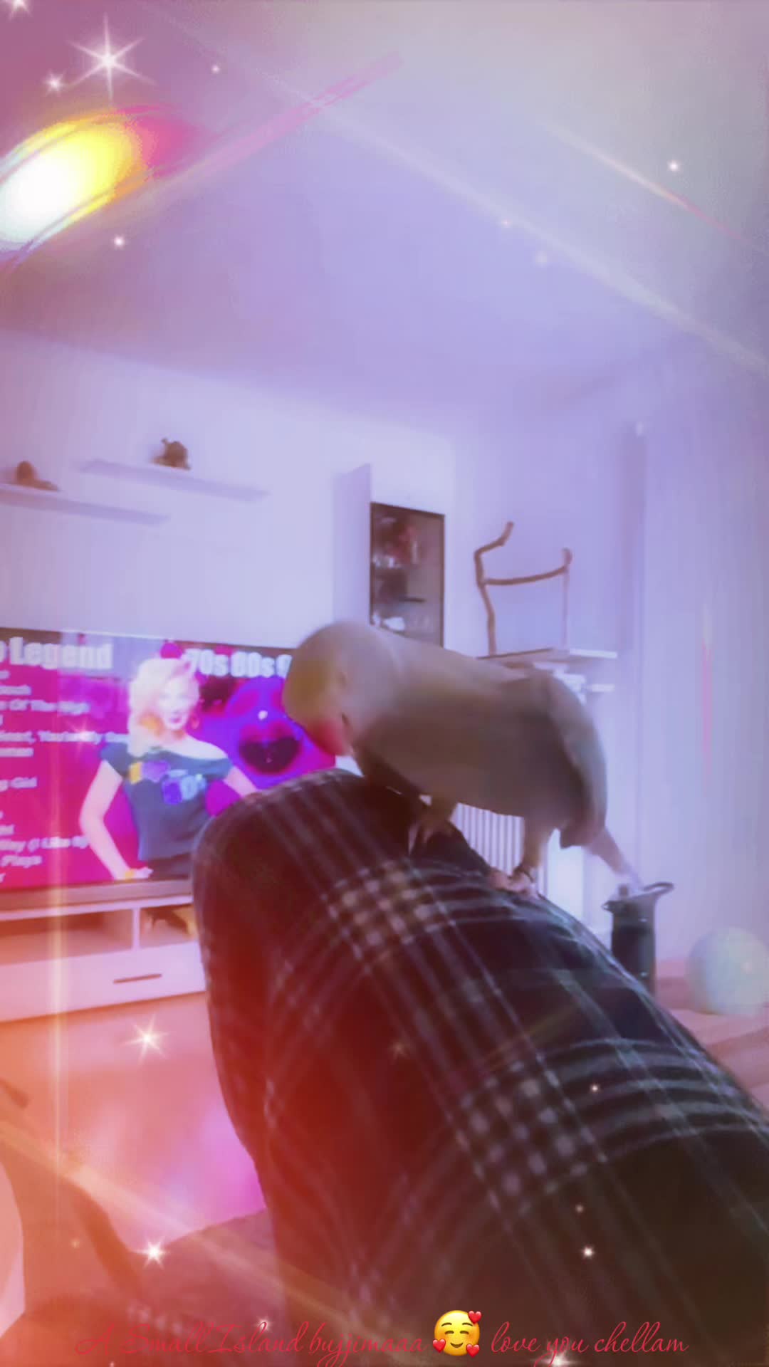 @Ram.de🇩🇪❤️🧡💛💚💙💜🤎🖤🤍