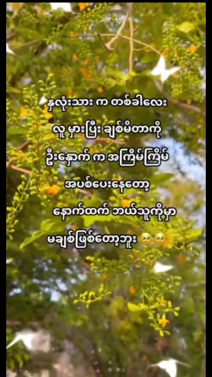 @๐ท๐ท๐ทแแฌแแฐแแฌ๐น๐น๐น
