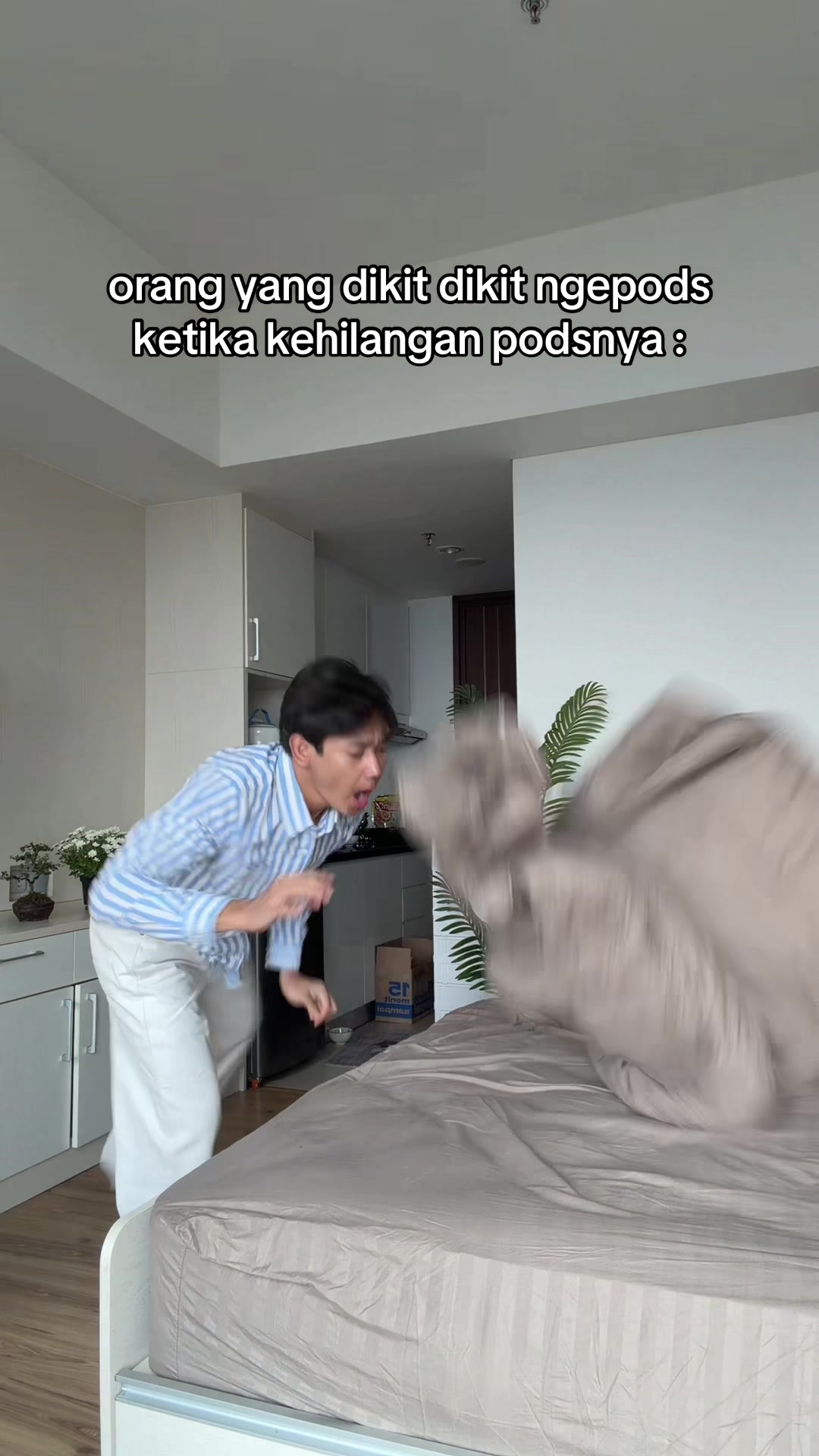 @ferdii