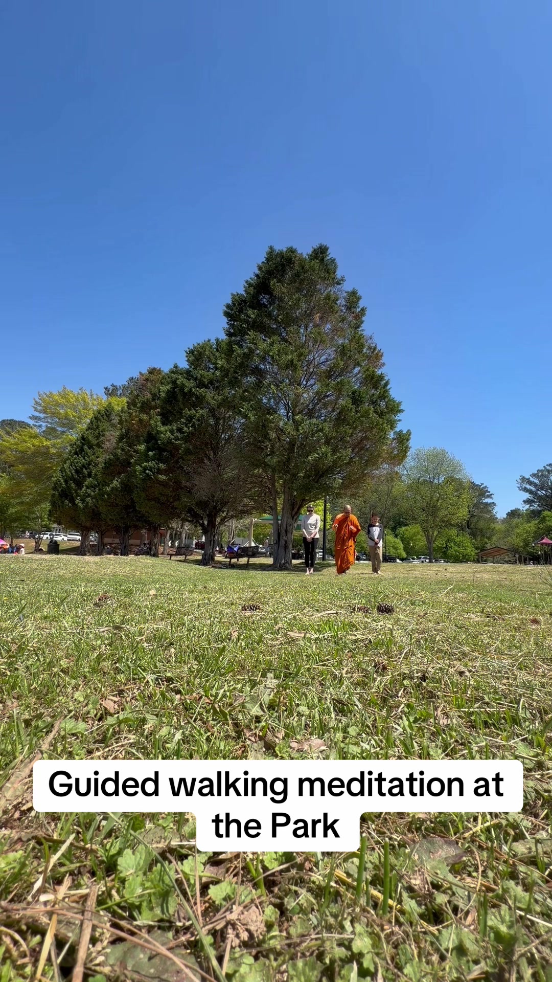@Ajahn DAO