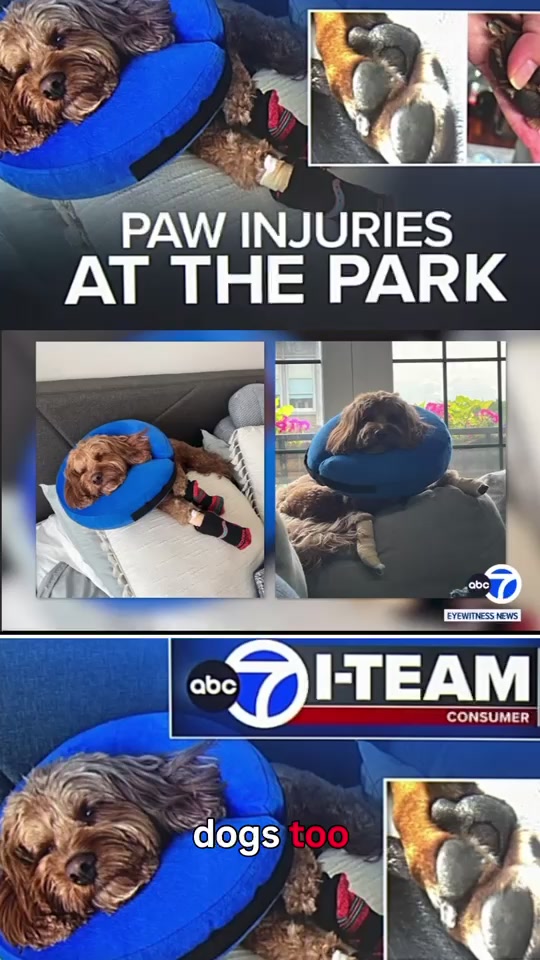 @abc7chicago