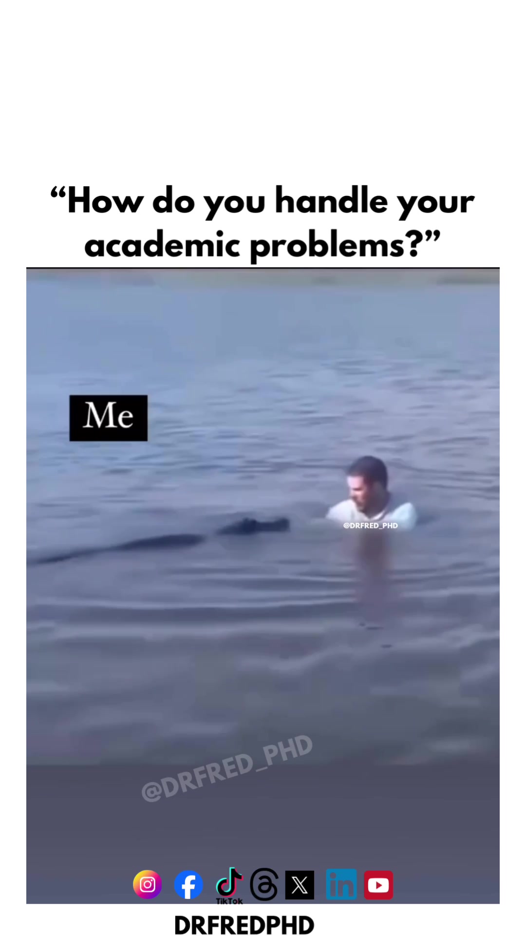 @DrFredPhD | Dissertation Coach