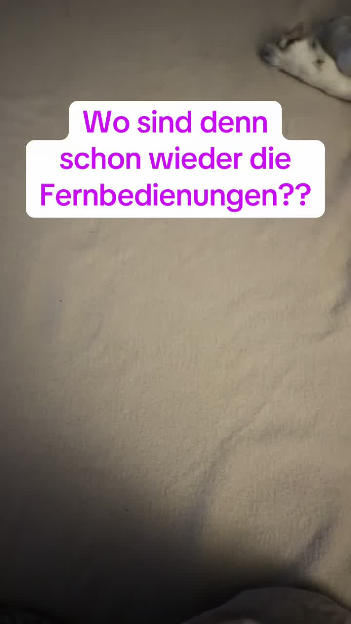 @Melli86