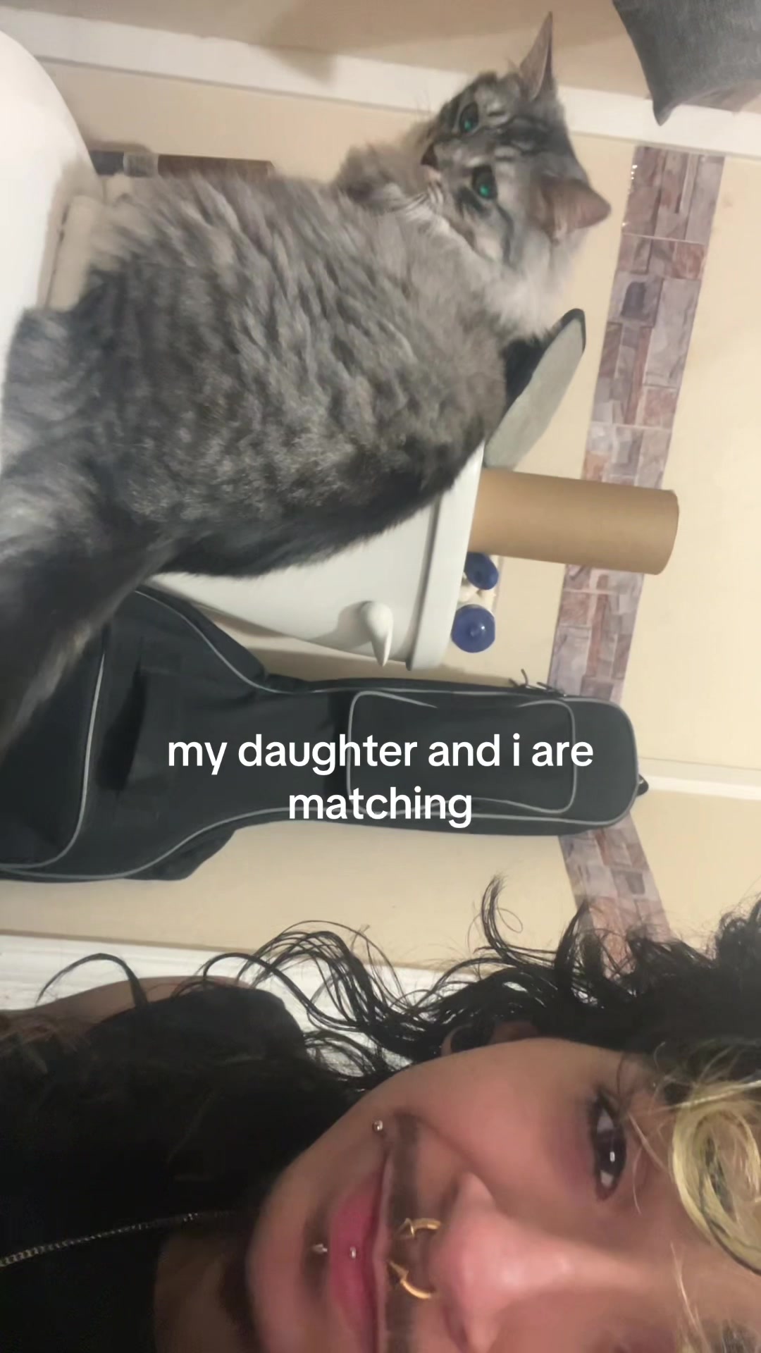 @anselll