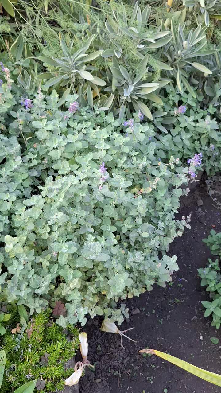 @Natur und Garten
