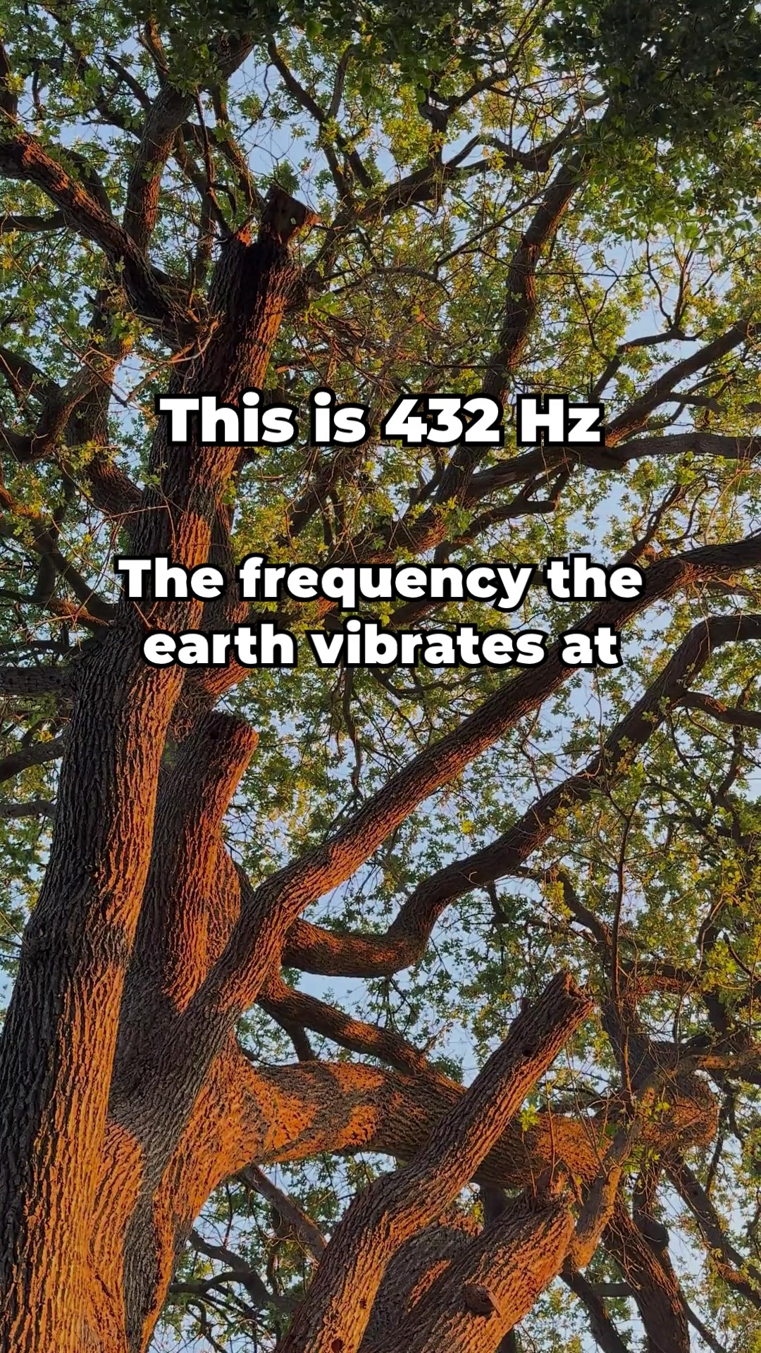 @PureToneTherapy