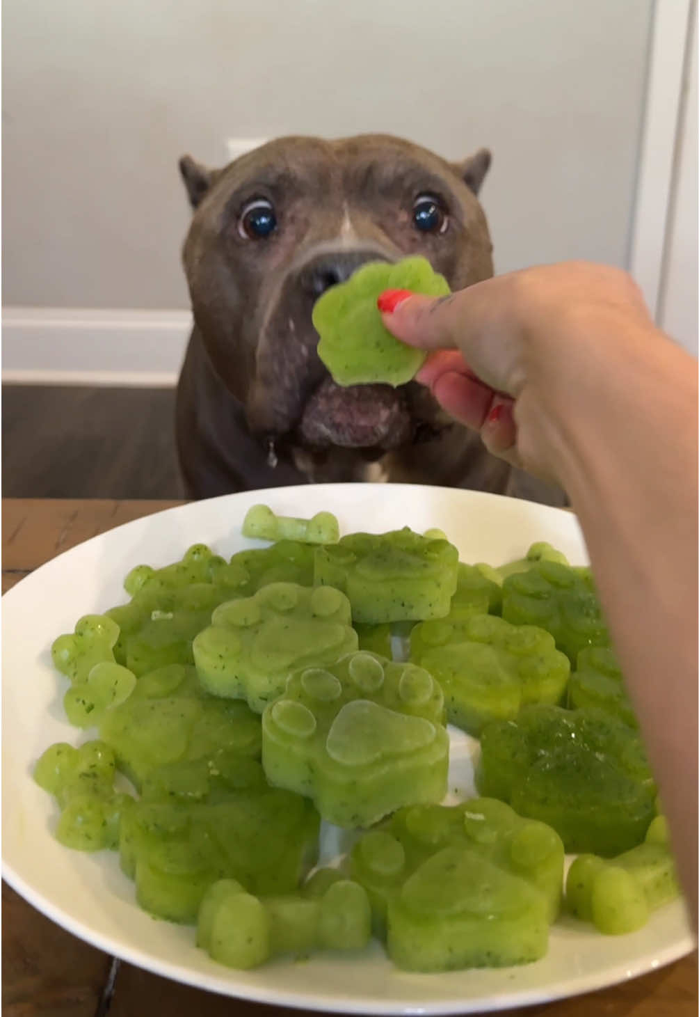 @My Dog’s Dope