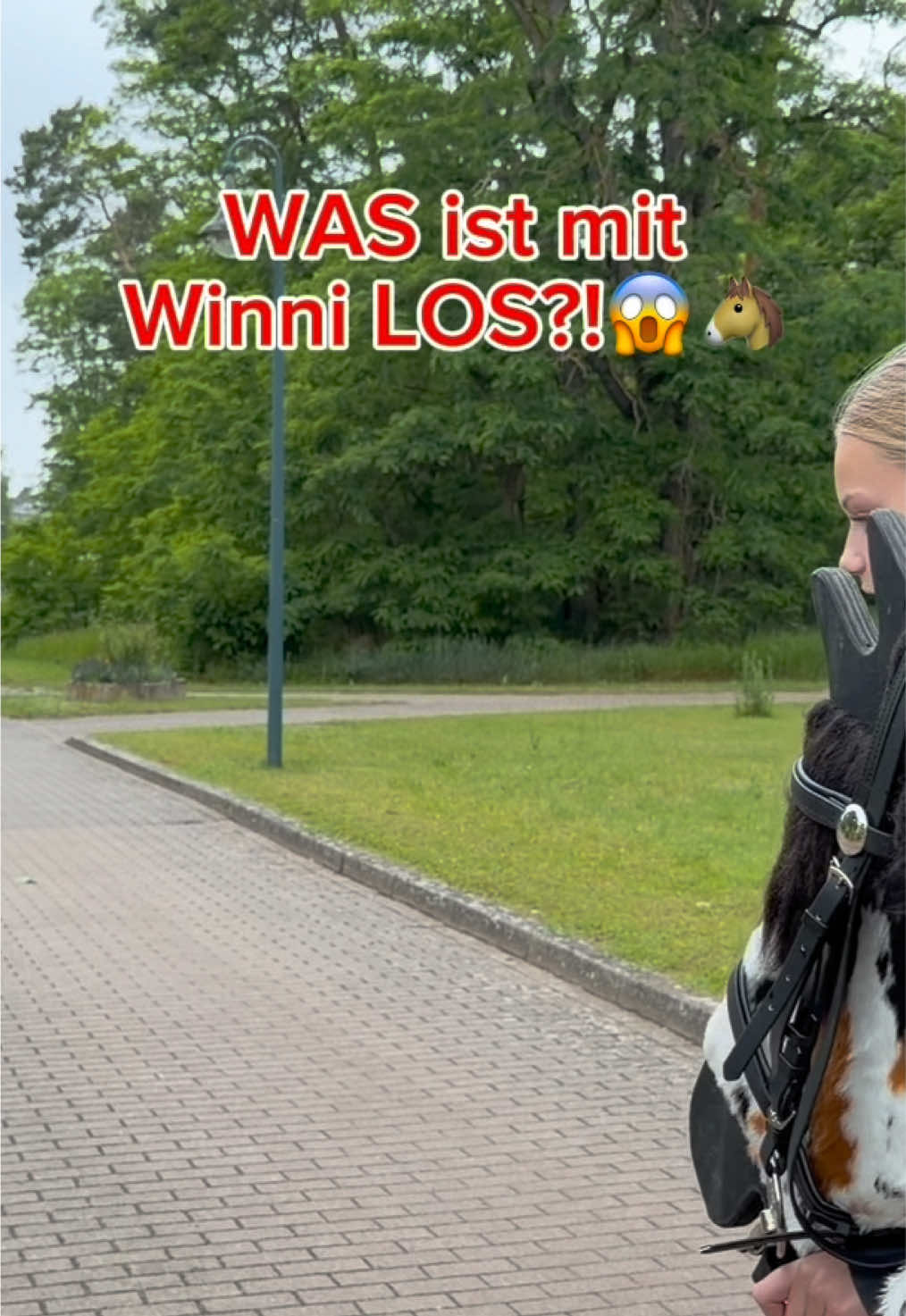@kht_horselife