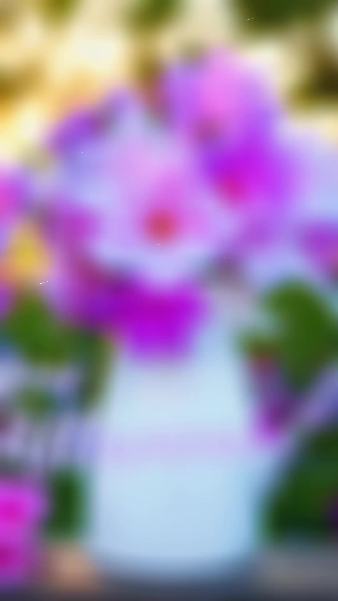 @🌺🧿 Rosh_Ram 🧿🌺