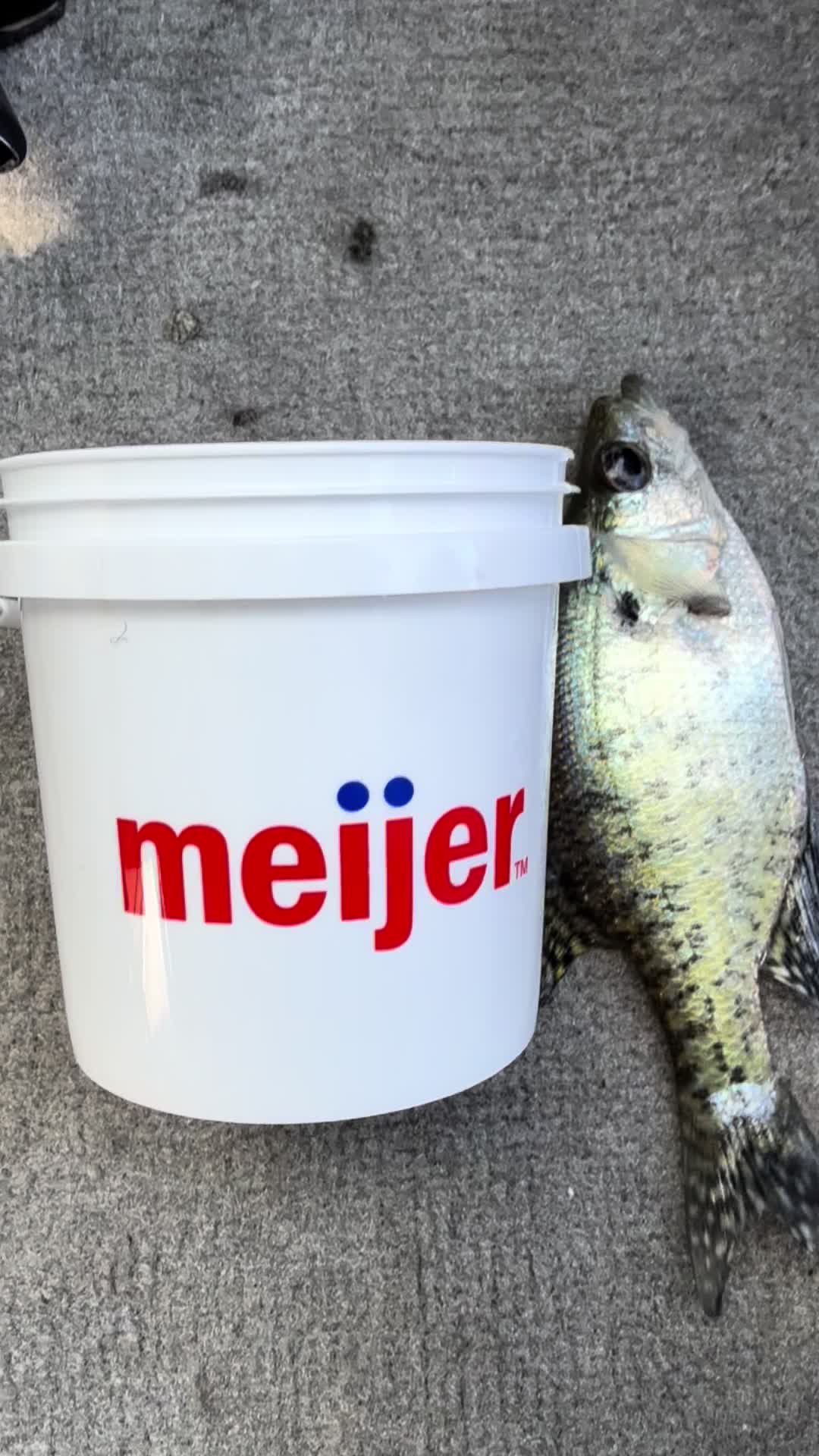 @Dave&rsquo;s Lazy Baits