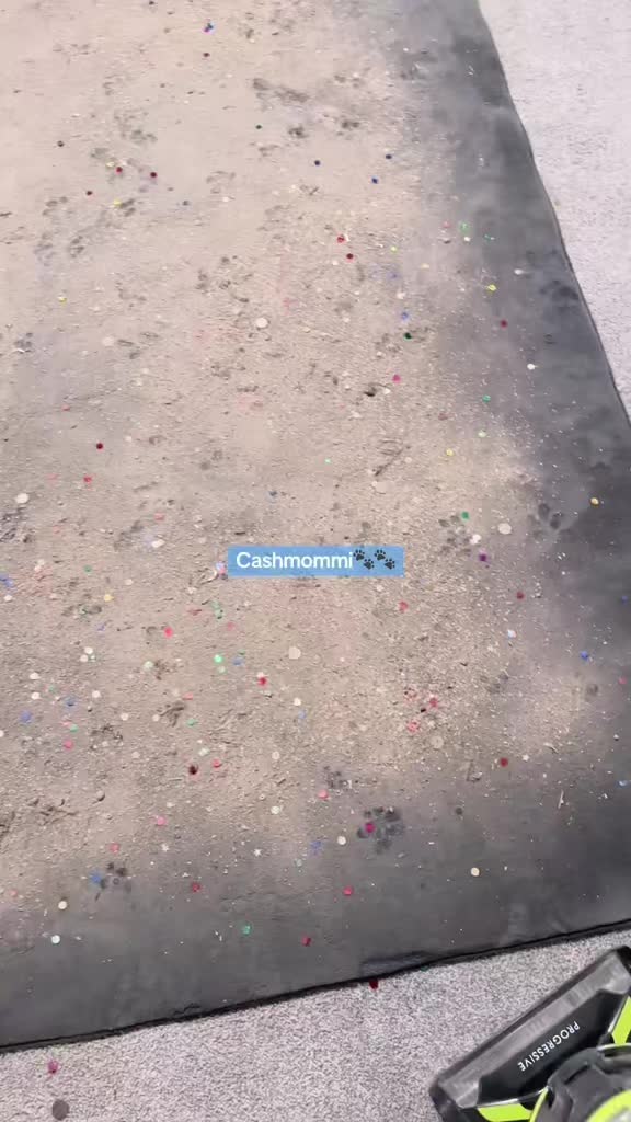 @CashmommiVacs