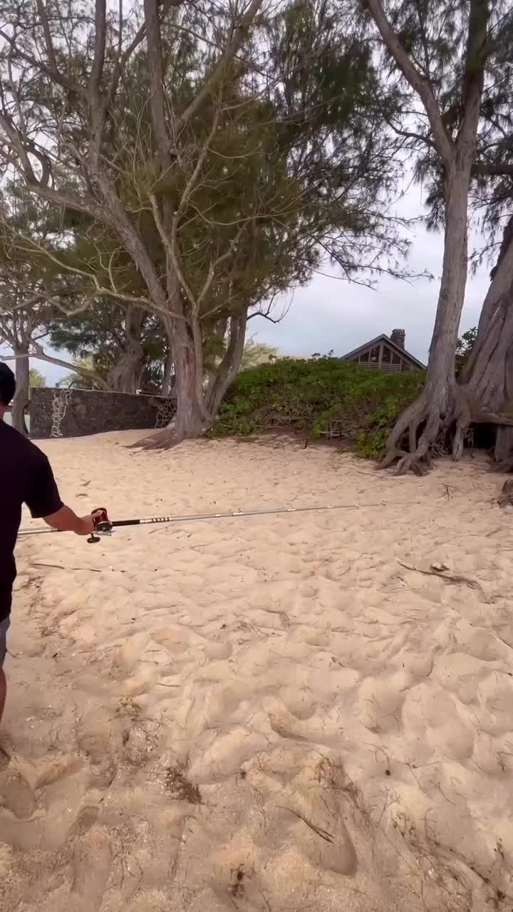 @Kamea