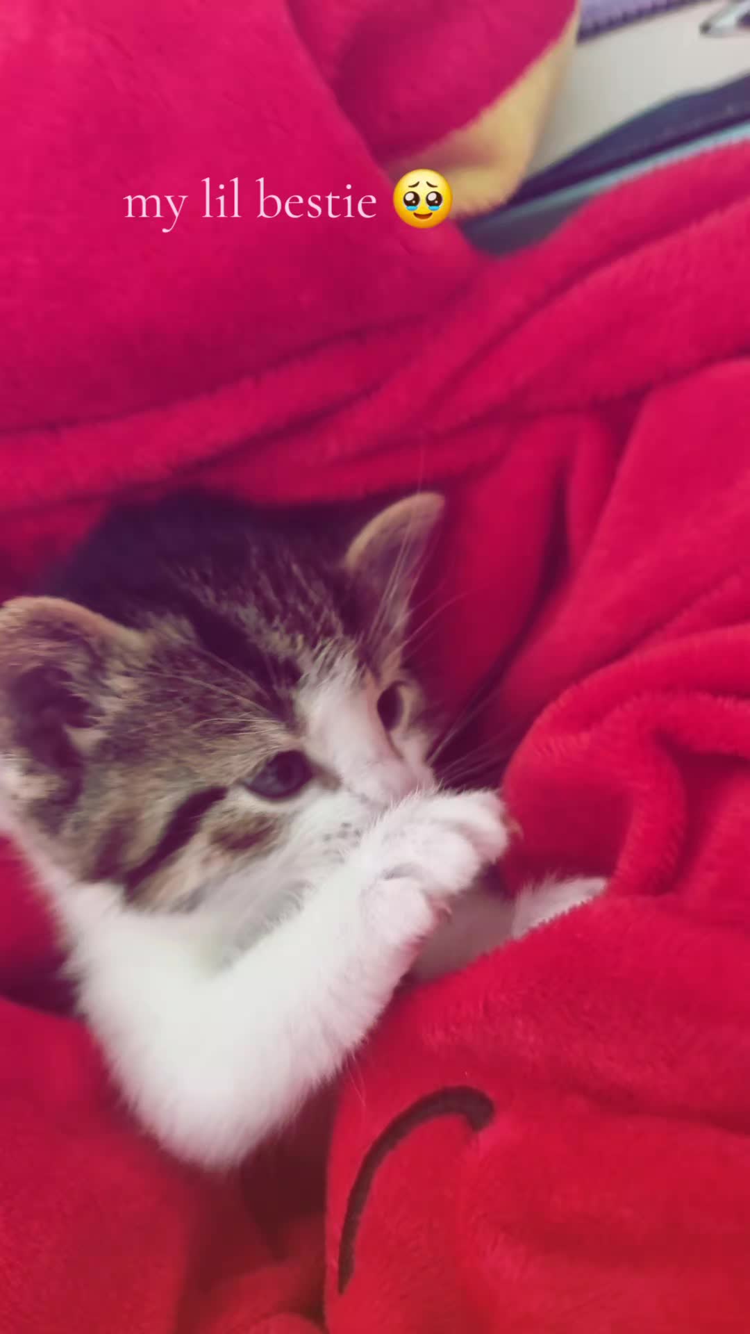 @𝐉 𝐀 𝐘 𝐃 𝐄 𝐒