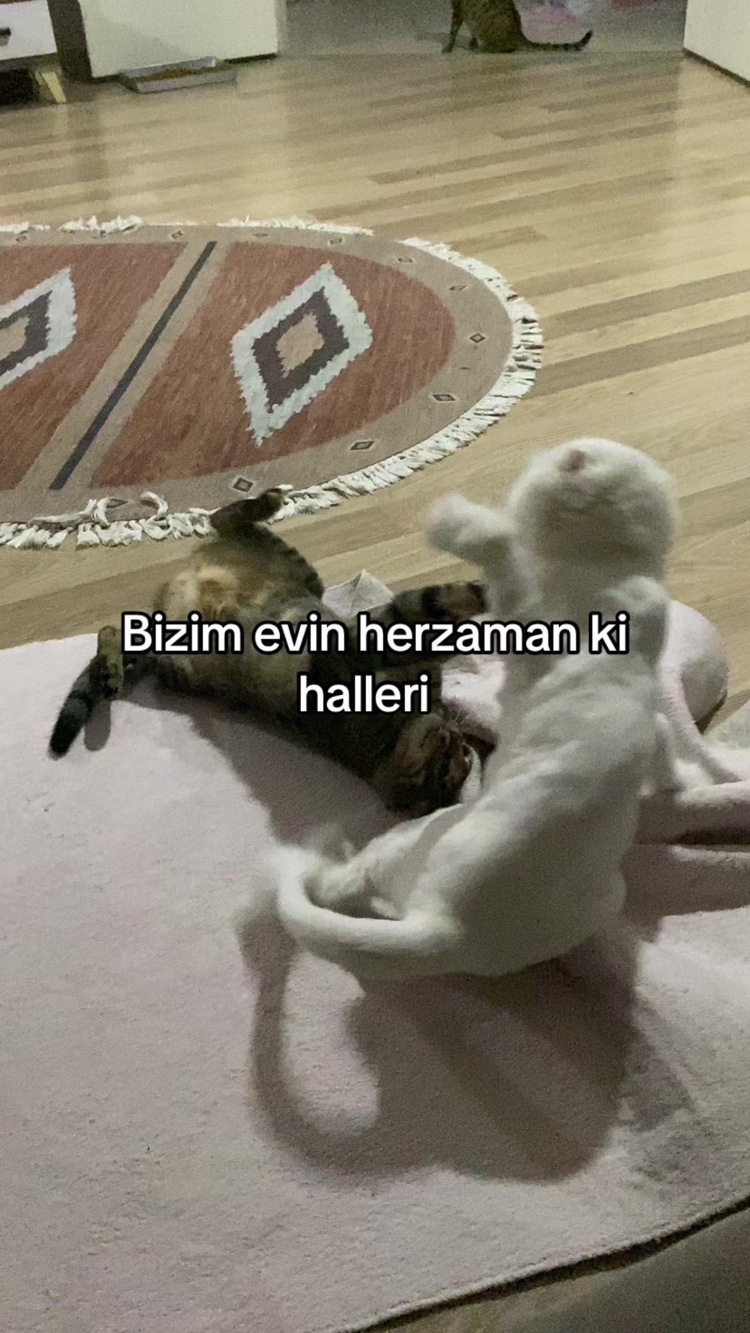 @yudummz_