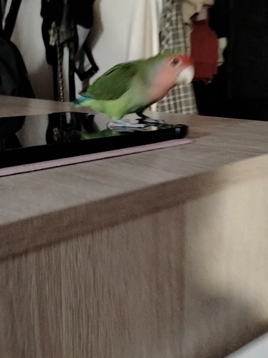 @соня чзх