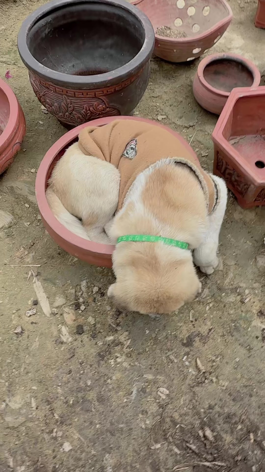@H&agrave; Thị Mu&ocirc;n