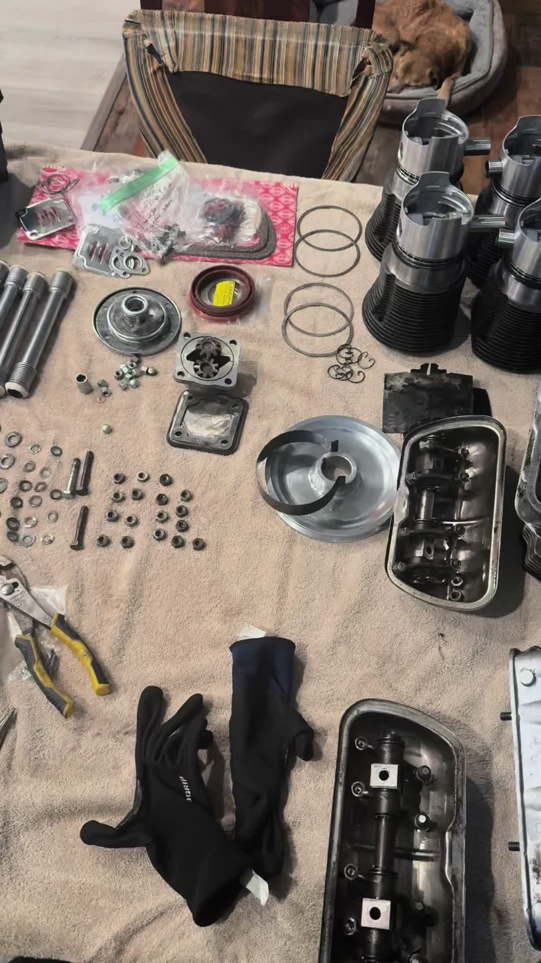 @ozzythedoxy