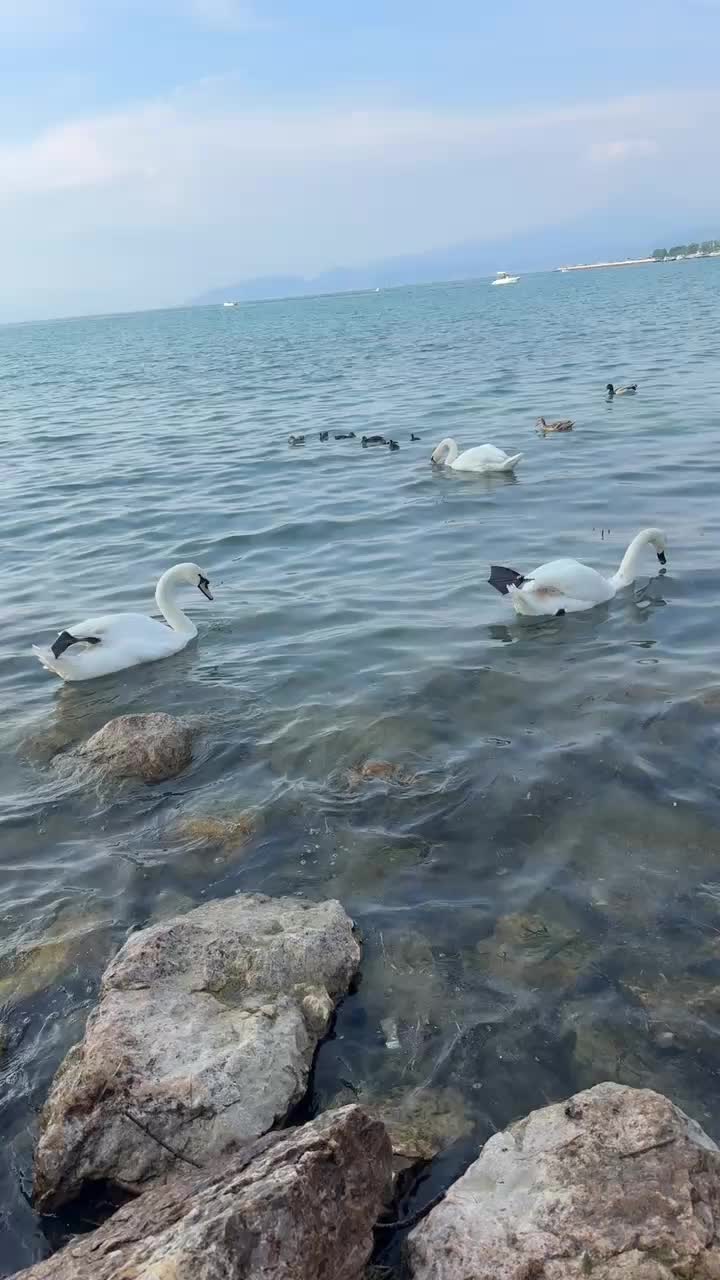 @HamzaChudhary970🇮🇹🇵🇰