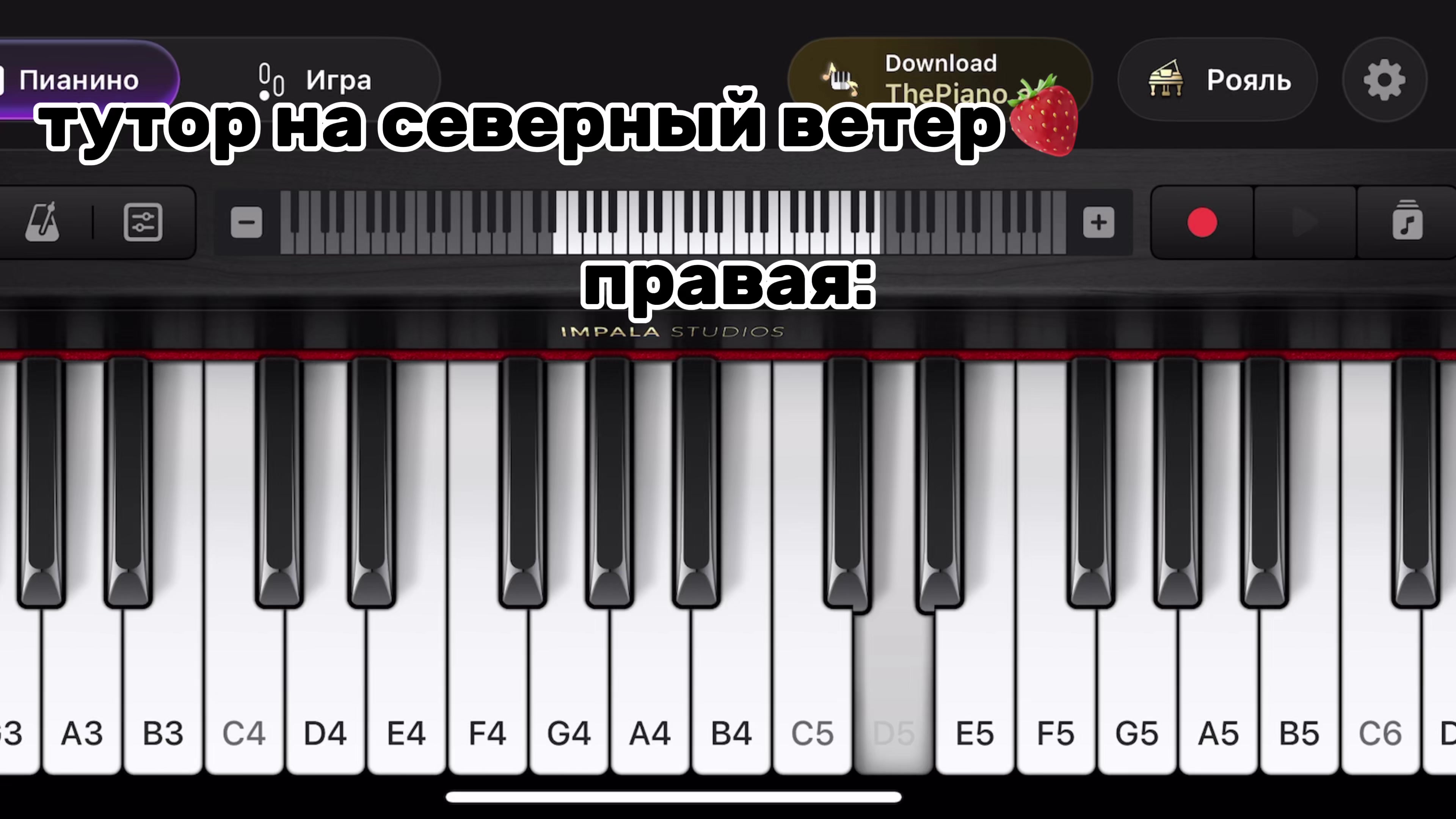 @Н𐔖р𐔤сᥱ