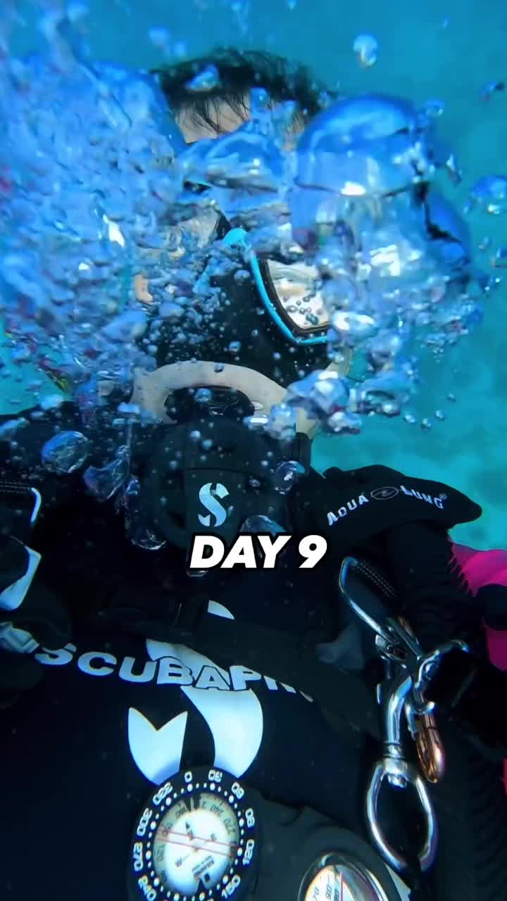 @Scuba Diving with Ara