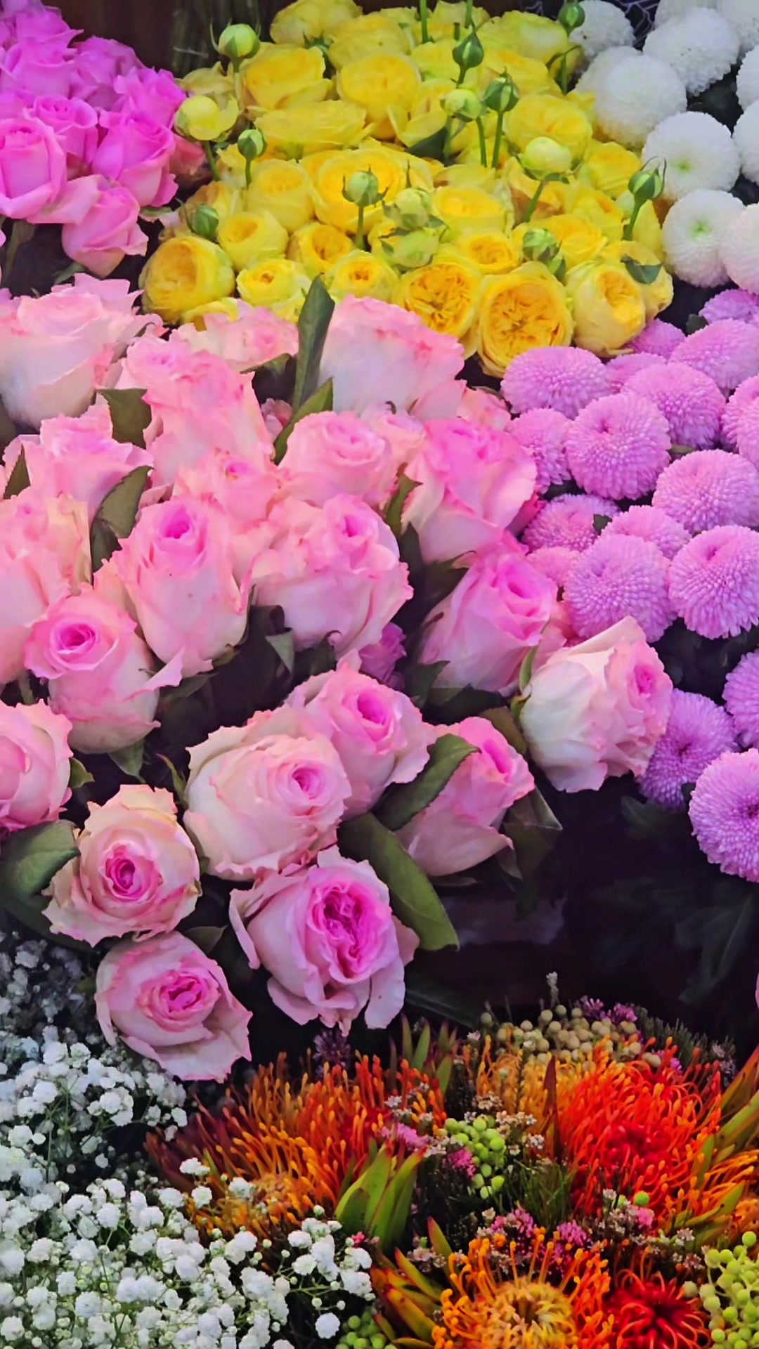 @두리💕