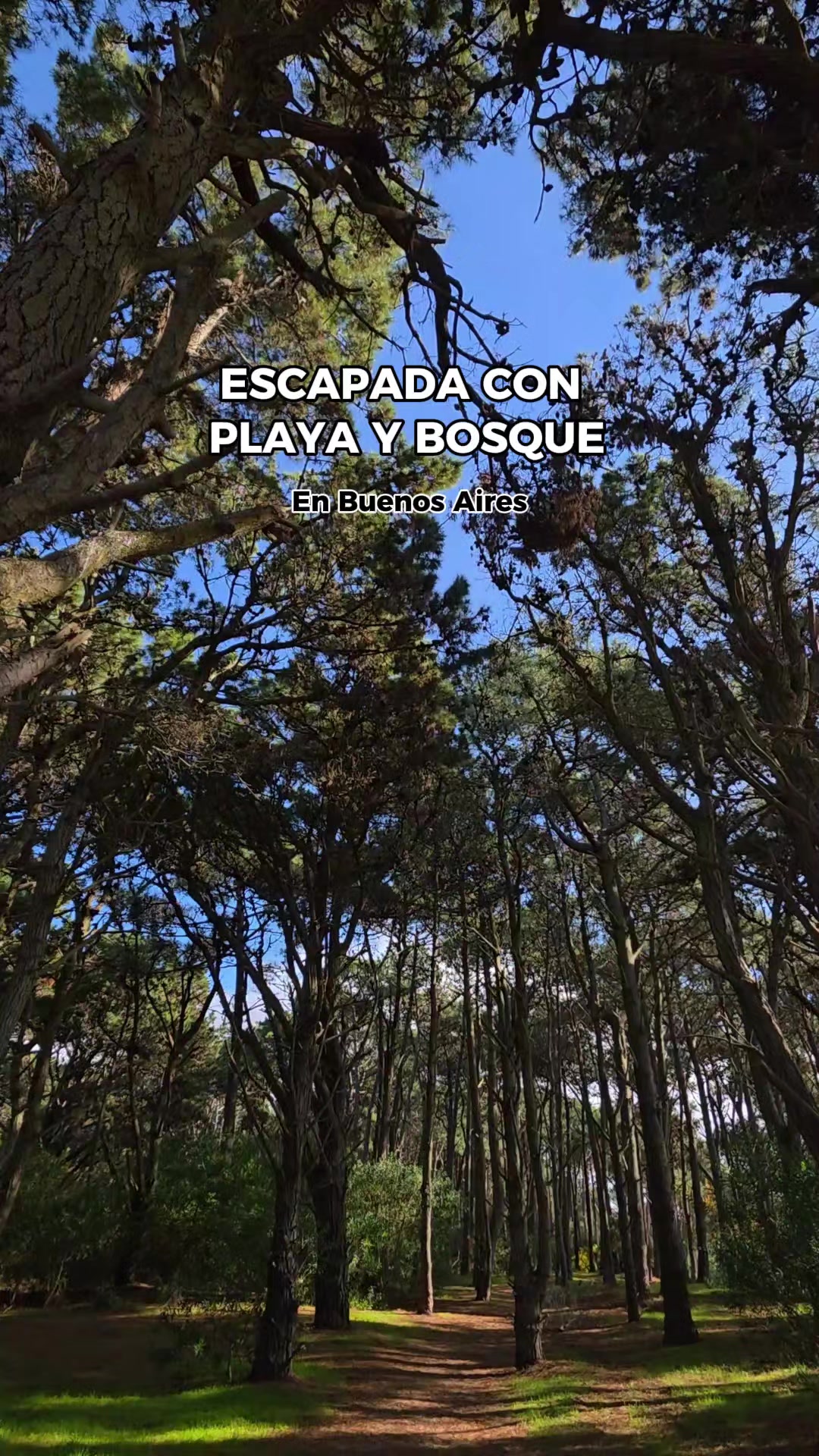 @Paseando en BA