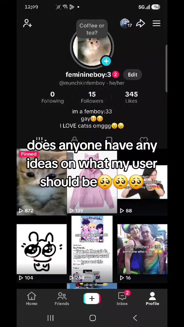 @munchkincatboy