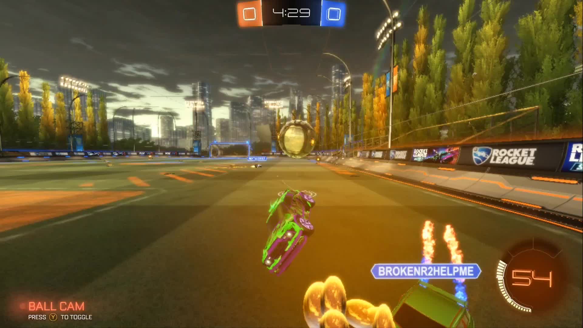 @That1BearGuy - RL
