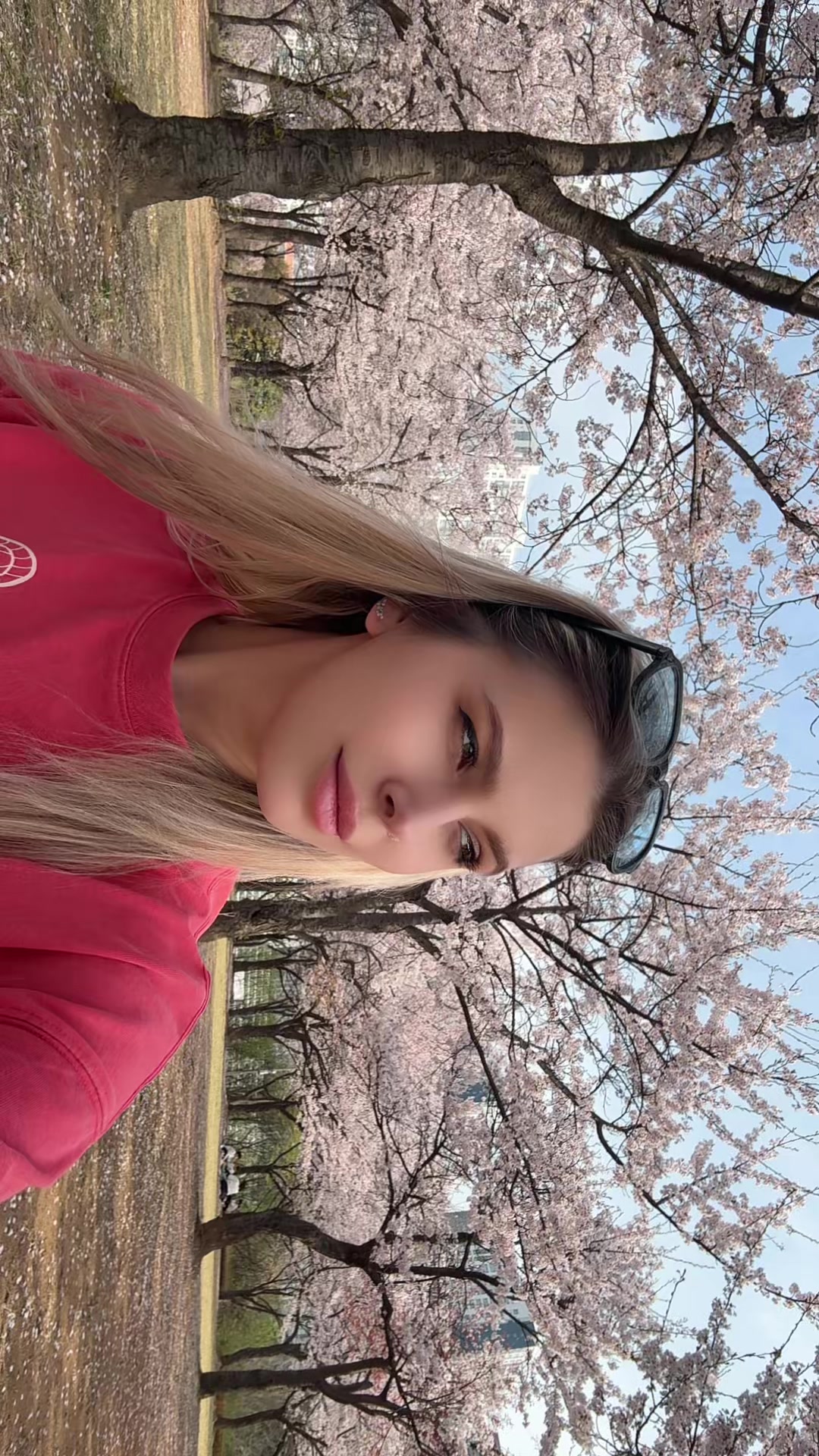 @🫧𝓜𝓸𝓵𝓮𝓬𝓾𝓵𝓪🫧