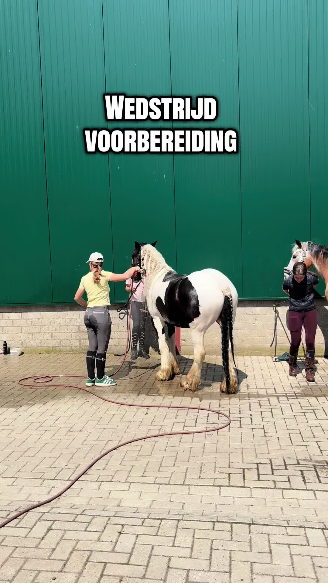 @Syrche Cordewener