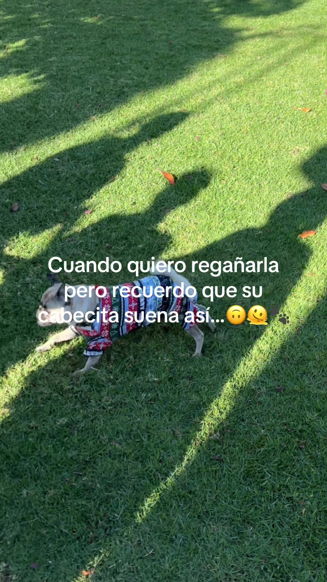 @Frida Miranda