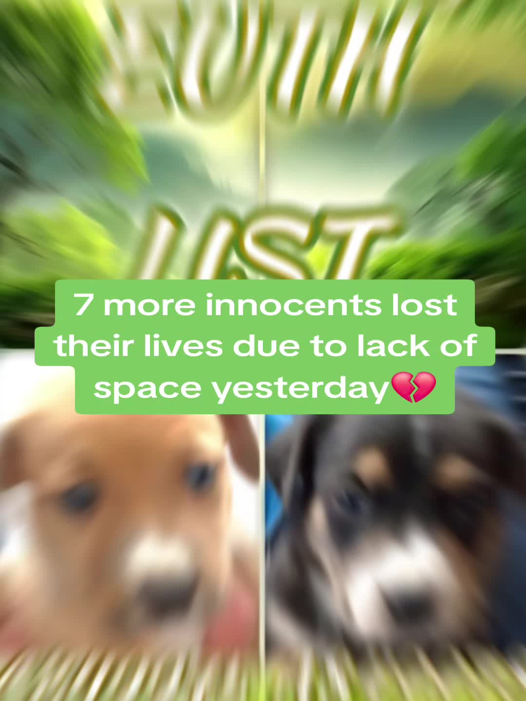 @Chantal