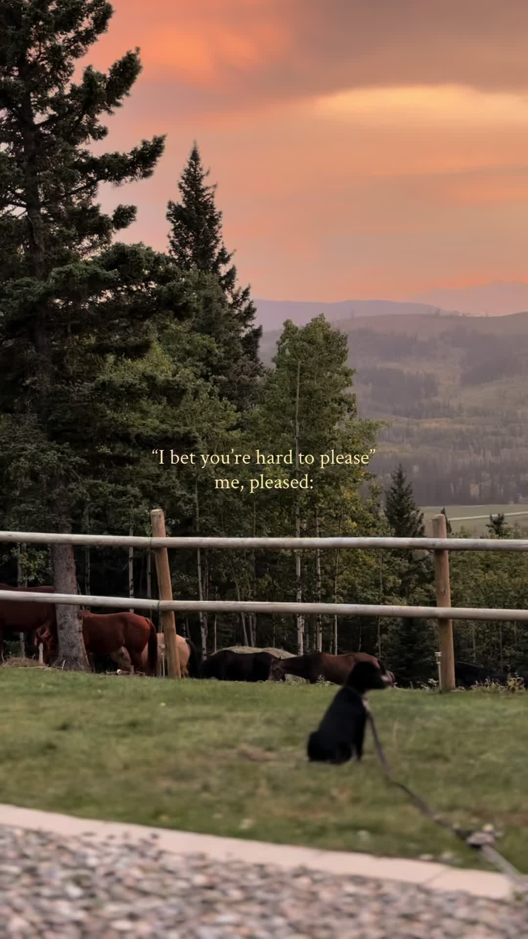 @Ranch Riders