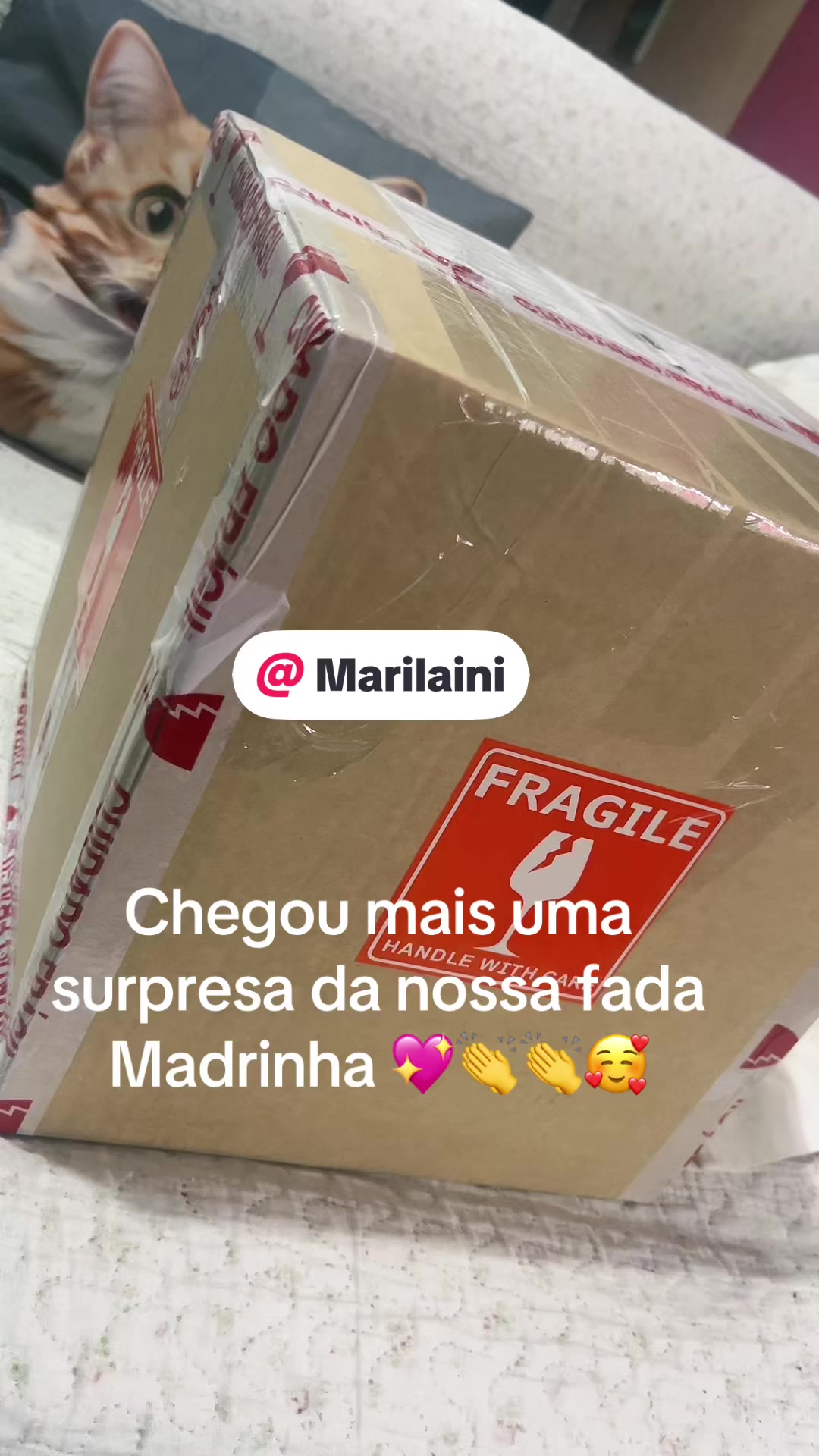 @SaraBartu44