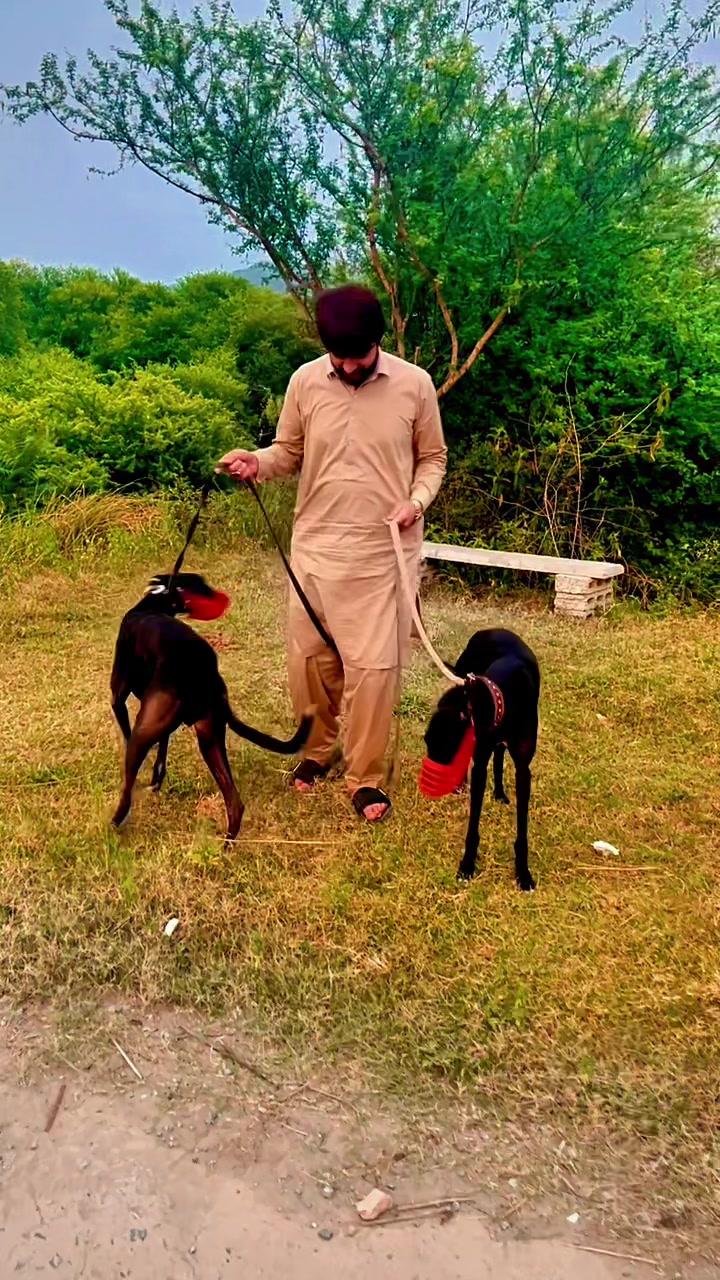 @ZeeShan Raja
