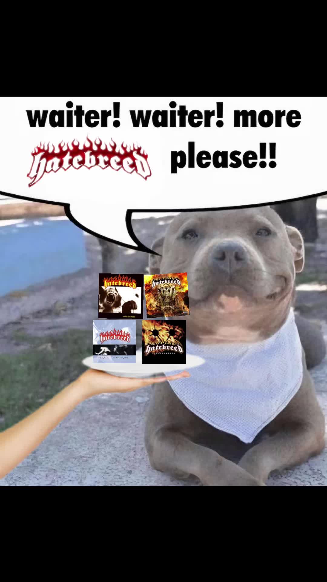 @Cdcollector123
